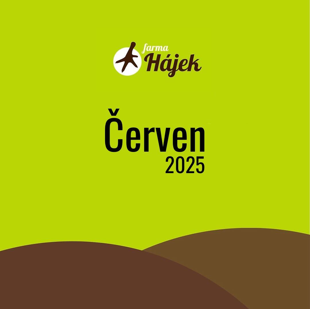 Červen 2025