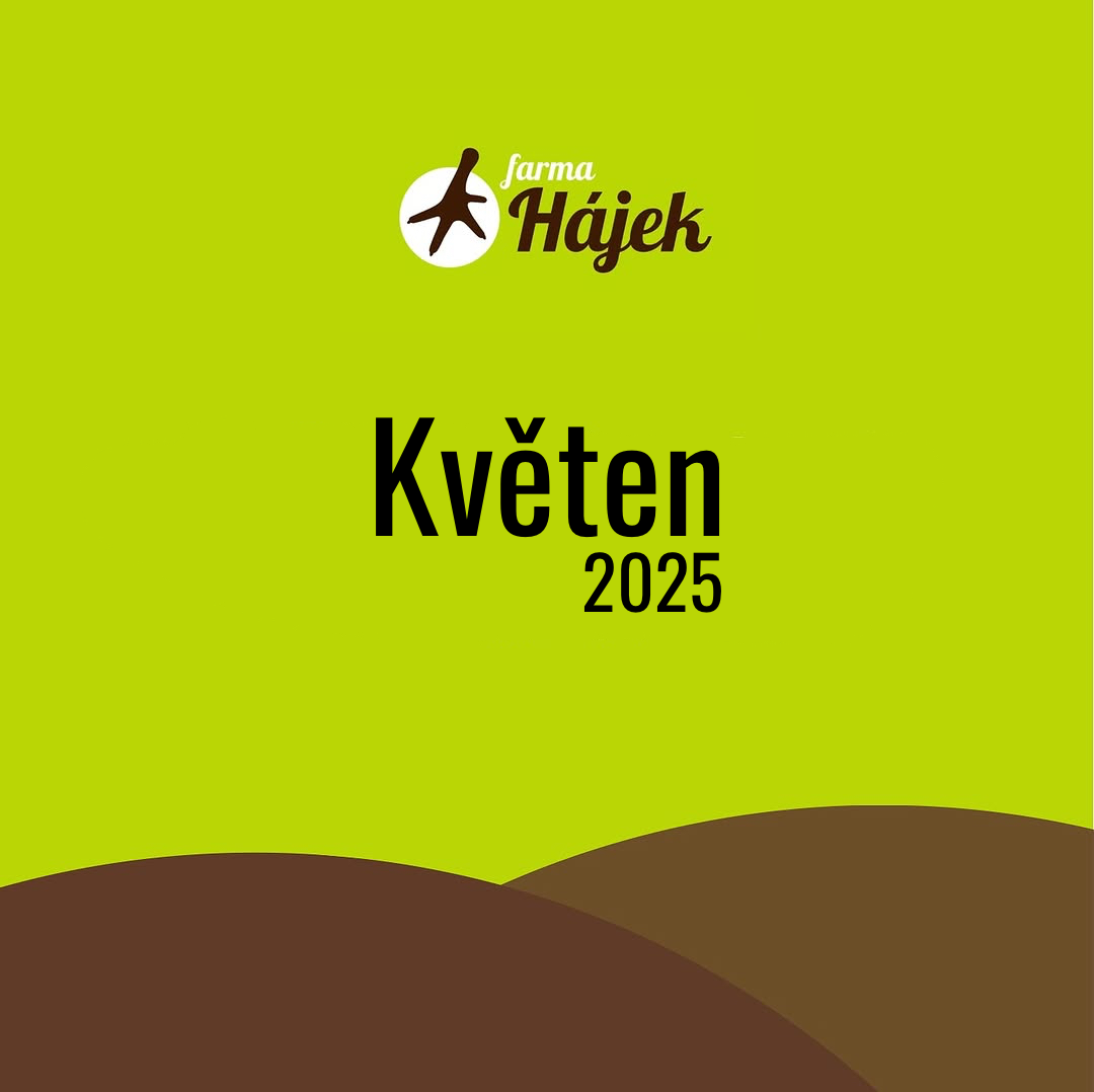 Květen 2025