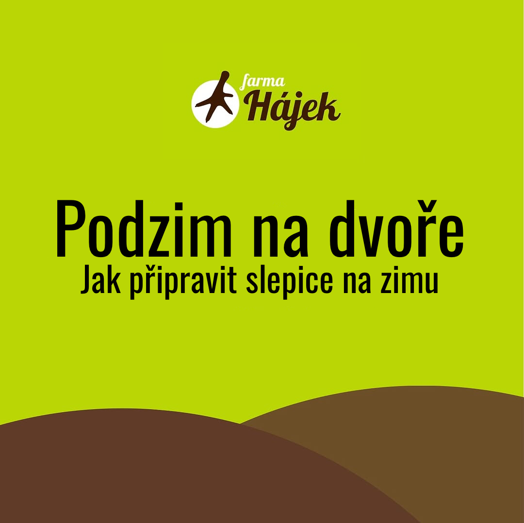 Podzim na dvoře