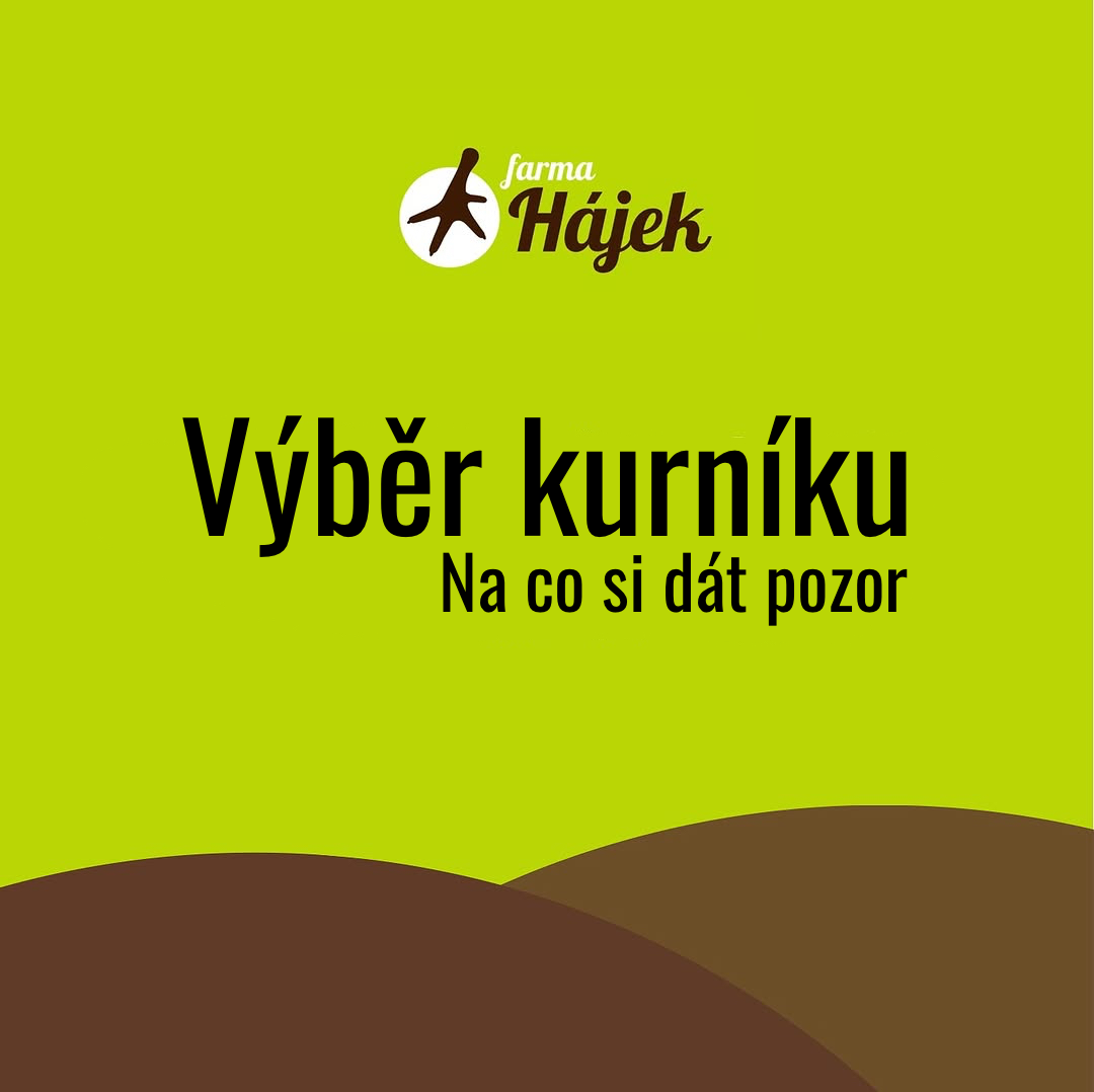 Výběr kurníku