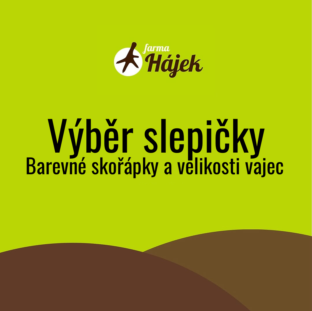 Výběr slepičky